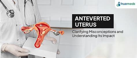 Anteverted Uterus: Causes, Symptoms, Fertility.